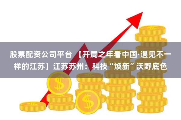 股票配资公司平台 【开局之年看中国·遇见不一样的江苏】江苏苏州：科技“焕新”沃野底色