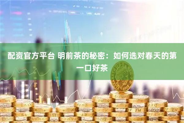 配资官方平台 明前茶的秘密：如何选对春天的第一口好茶