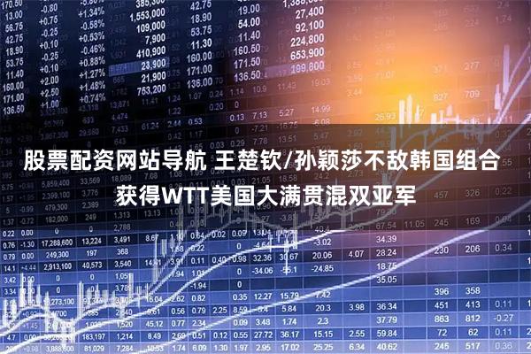 股票配资网站导航 王楚钦/孙颖莎不敌韩国组合 获得WTT美国大满贯混双亚军